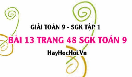 Giải bài 13 trang 48 SGK Toán 9 tập 1